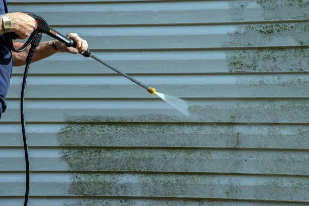 Reliable Capron, IL Pressure washing Solutions